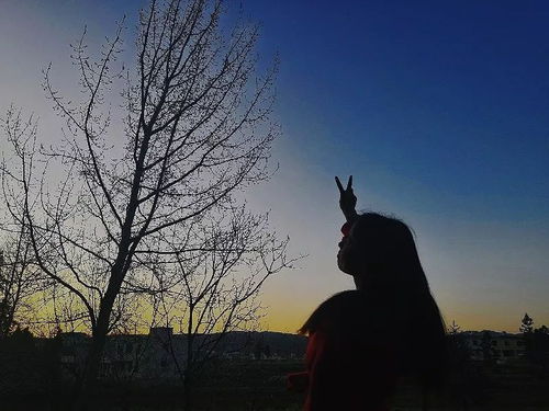 清清的小河是谁的家