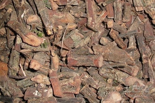 忽冷忽热用伸筋藤可以吗