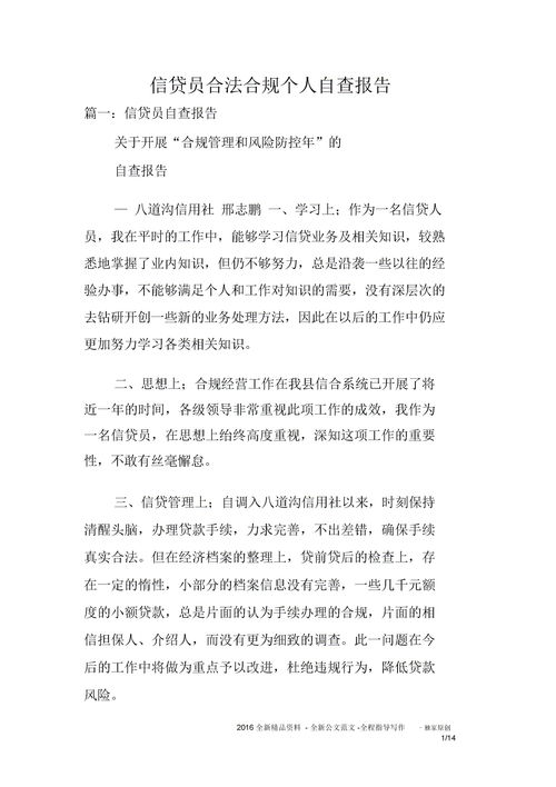 个人自查报告