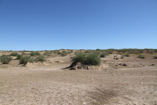 戈壁是什么意思