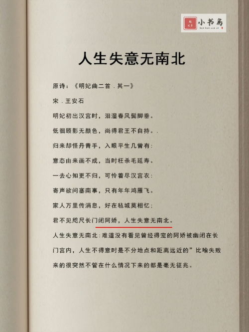 《明妃曲》赏析