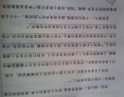 我是一棵小草的作文350字