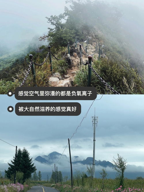 300·7米等于多少千米，300·0mg和9.5g那个多