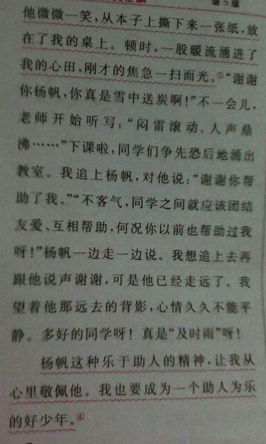 我的伙伴作文300字三年级，我的伙伴作文300字