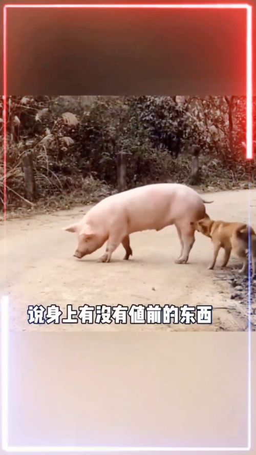 澎涨螺丝有几种，澎涨锣丝怎么固定
