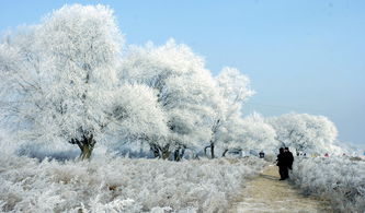 冬天的记忆电视剧全集免费，冬天的记忆作文600字记叙文