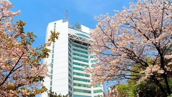 重庆邮电大学有几个校区