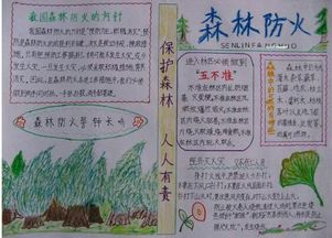 森林防火手抄报怎么做