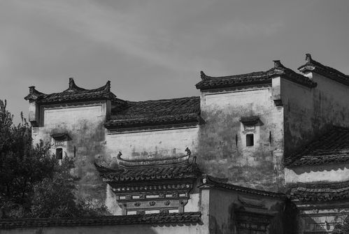 志南《绝句·古木阴中系短篷》原文及翻译赏析