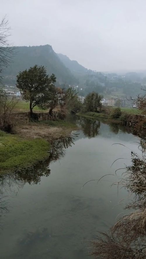 清澈的小河像什么像什么二年级，清澈的小河里鱼儿欢快地在水里玩耍 缩句