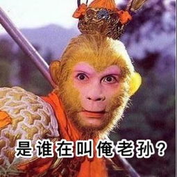 《西游记》中孙悟空,孙行者,孙猴子,三个称呼意义是啥?