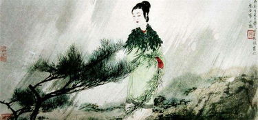 《佳人·杜甫》原文与赏析