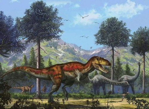 羽王龙化石，羽王龙头骨