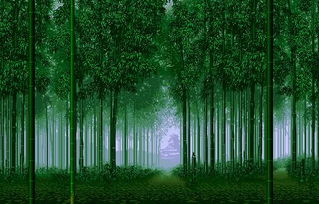 生活中需要掌声作文600字