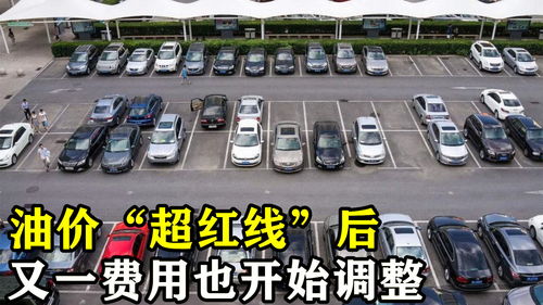 泊的拼音，泊车的拼音和组词