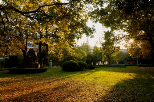 雨过天晴是什么意思