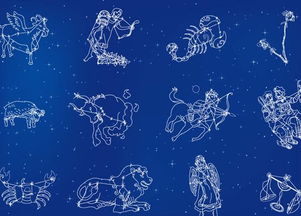 8月14日是什么星座 生日8月14日是什么星座