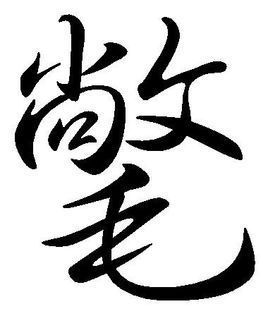 鹤氅的拼音是什么意思，鹤÷的拼音