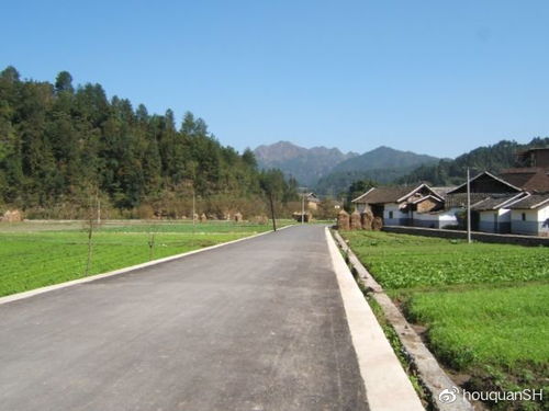求《侧耳倾听》主题曲country roads的中文翻译