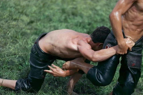 虬结怎么读，形容肌肉虬结