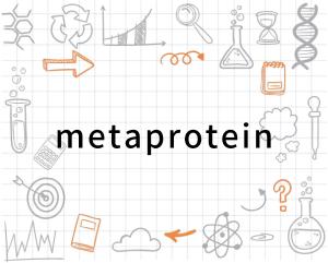 蛋白质英语全称，我喜欢吃鸡蛋 它含有蛋白质英语