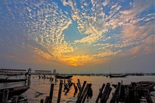 梁山泊在山东哪里