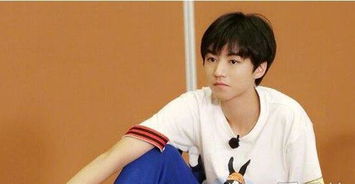 我最喜欢的影视明星