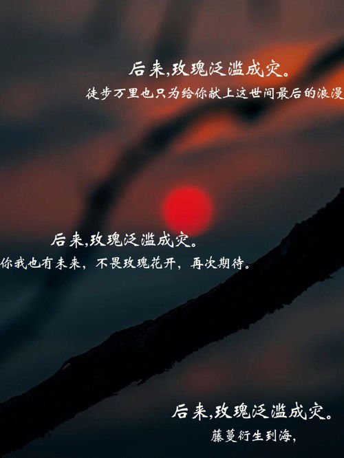 泛滥怎样造句