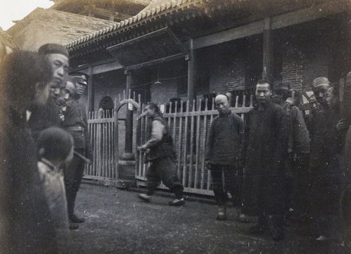 巡捕房铁林电视剧，巡捕房电视剧