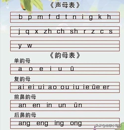 前鼻音和后鼻音韵母表，拼音字母前鼻音和后鼻音有哪些