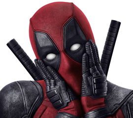 persuit of，persuit名词