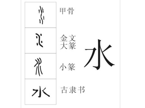 西旁的字有哪些?