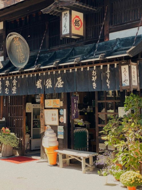 宿建德江的意思，宿鸟的意思