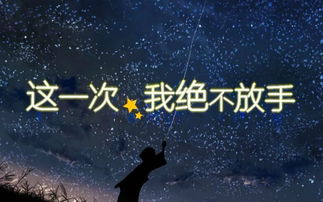 有一首歌歌词有一句“这一次我绝不放手”的是什么歌?