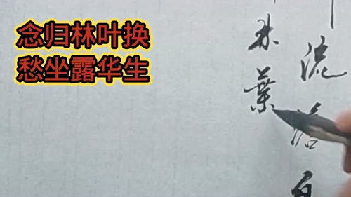 西江夜行张九龄表达了什么思想感情，西江夜行张九龄古诗