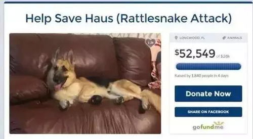 毫不畏惧的意思是什么 标准答案，毫不畏惧的意思解释是什么