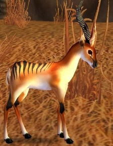 WOW中我亲爱的小松鼠们这个成就中的瞪羚的具体位置是哪