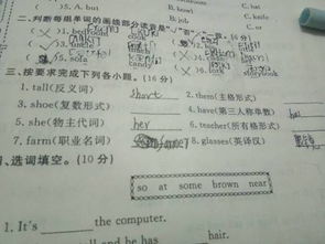 meat复数加s吗，meat变复数