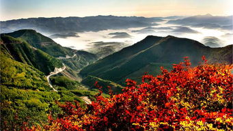 六盘水在哪个省哪个市哪个县，翻越六盘山在哪个省