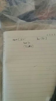 he怎么读