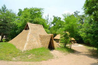 甘肃文化·灿烂的甘肃远古文化·新石器时代早期文化遗址