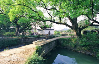 莲都区天气预报30天查询，莲都区天气24小时