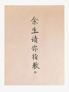 新诗是什么意思