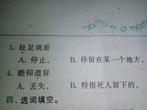 蛀的意思解释，驻足的意思