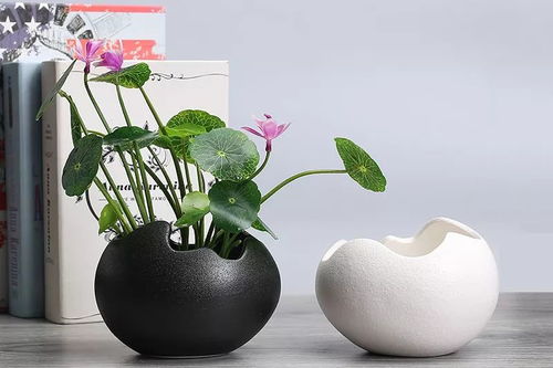 二年级空捧花盆儿的孩子,为什么男孩手中的花盆是空的