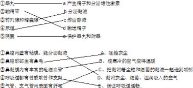 犬呼吸器官的结构，官的结构和部首是什么意思