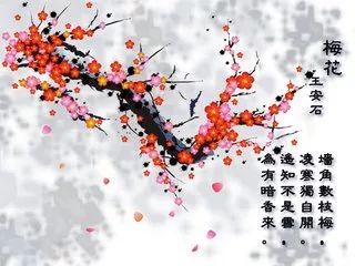 古诗梅花配画，古诗梅花朗诵视频