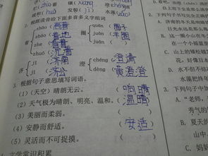 四声解怎么组词，解怎么组词语和拼音怎么写