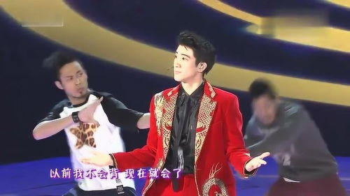 十二生肖王力宏春晚，十二生肖王力宏歌曲视频