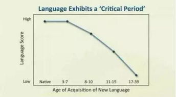堆砌的拼音怎么写的拼，堆砌拼音怎么读